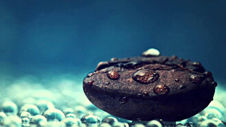 Musical Inspirations