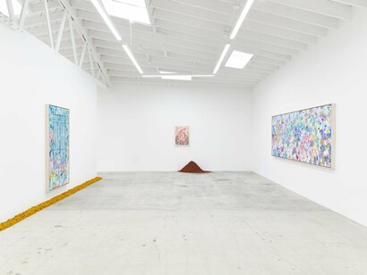 Sarah Ann Weber, I know her, exhibition view. Courtesy of Anat Ebgi 