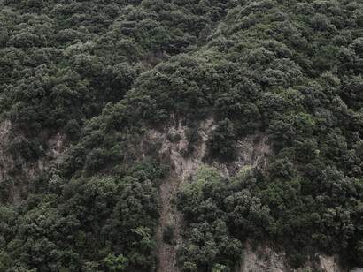 La luce necessaria. Courtesy of FIAF