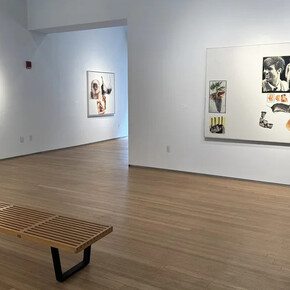 Joseph Raffael, White ground paintings, exhibition view. Courtesy of Nancy Hoffman Gallery 
