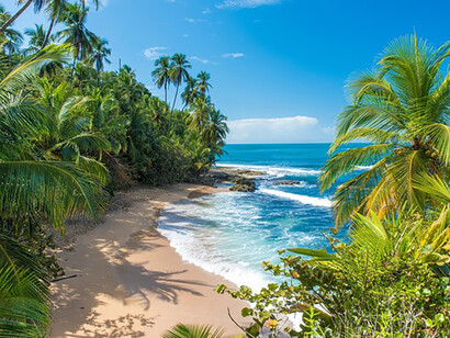 Educating the general population to properly recognize and avoid the risks of encountering a snake