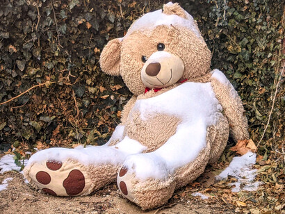 Es una evidencia que las víctimas de abuso sexual infantil pueden tener una peor salud mental, con una mayor presencia de síntomas y trastornos psiquiátricos