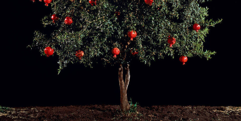 Into the Woods. Courtesy of Victoria and Albert Museum