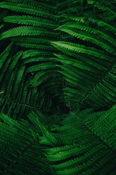 Verde que te quiero verde