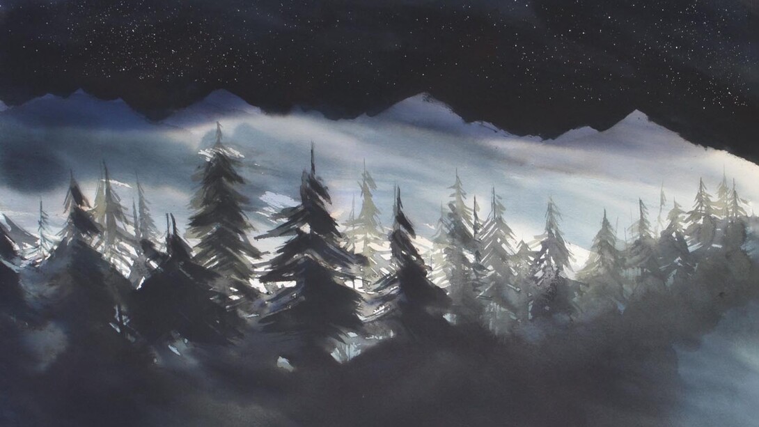 Nicola Magrin, Passi silenziosi nel bosco