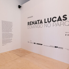 Renata Lucas, Domingo no parque, vista da exposição. Cortesia da Pinacoteca