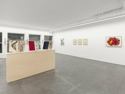 Faith Wilding, Inside, outside, alive in the shell, exhibition view. Courtesy of Anat Ebgi