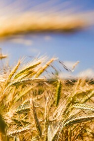 Scarcity or abundance: the choice is ours, and we must make it repeatedly throughout our days