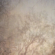 Flinders Lane Gallery