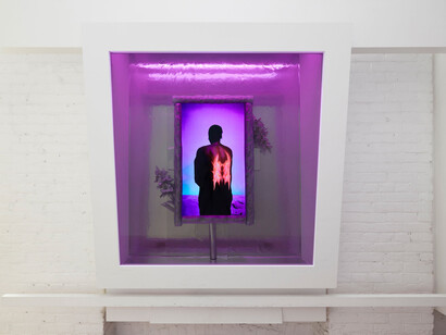 Connie Oreamuno, Embed_v2, exhibition view. Courtesy of Gallery 44