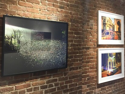 Vroom Vroom Beep Beep, Exhibition view. Courtesy of Susan Eley Fine Art