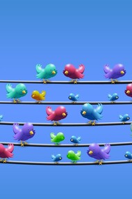 Alegres pájaros en los cables eléctricos