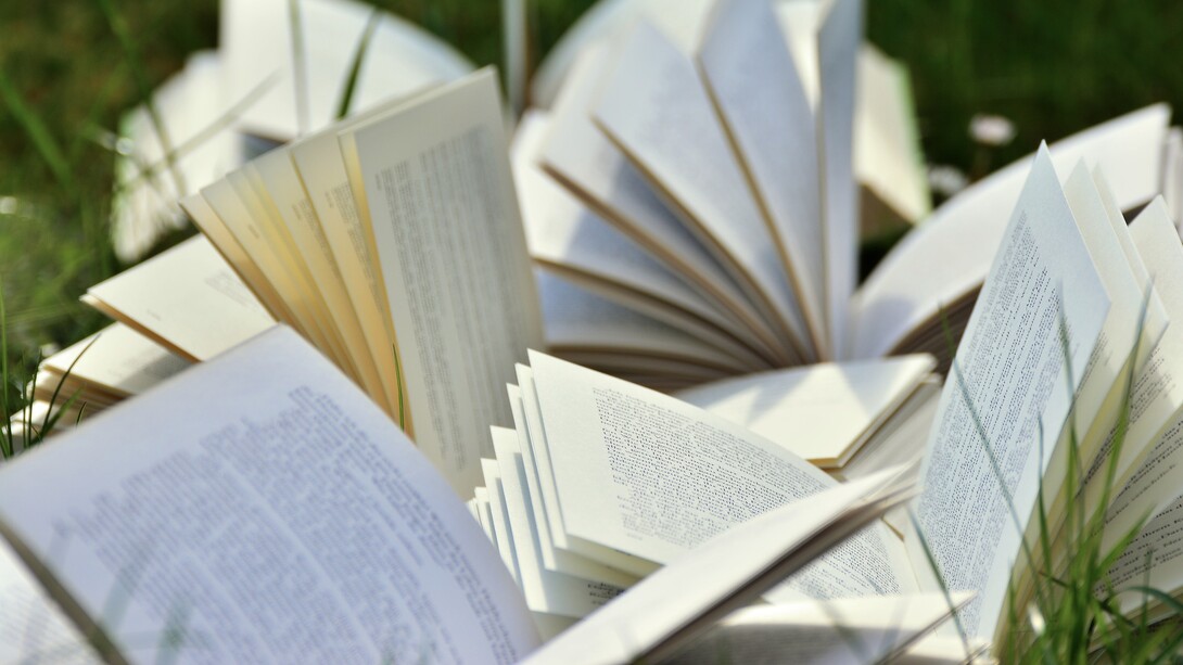 Immaginiamo molto più di quello che troviamo scritto in un romanzo