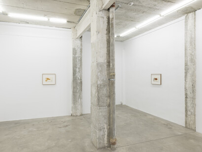 Antoni Tàpies. La mel. Courtesy noguerasBlanchard Barcelona/Madrid. Photography: Roberto Ruiz. 