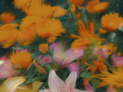 Vamos cultivar belos campos de sonhos, vê-los florir, enchendo-se de cores, aromas e, depois, de sabores, doces, meio amargos, amargos e os que não vão amadurecer, ou nem vão ter a chance de florescer. Mas tudo bem, o importante é preparamos o terreno com o melhor de nós, botar ali aquelas sementes que sabemos que vão vingar e depois tirar as ervas daninhas, colocar mais adubo, regar e deixar que o tempo as ajude a crescer, depois haverá a poda, o cuidado para manter os ramos mais fortes e assim por diante. No final vamos saborear os melhores frutos e os outros servirão de experiência