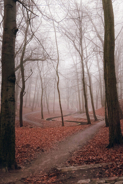 A quiet park footpath disappearing into fog in late autumn
