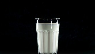 O leite é um alimento nutritivo, rico em proteínas, lipídios, vitaminas e minerais