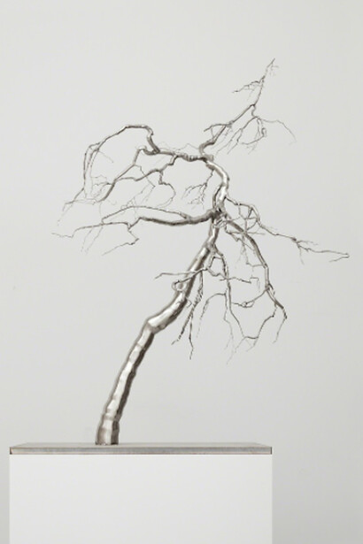 Roxy Paine. Courtesy of Paul Kasmin Gallery