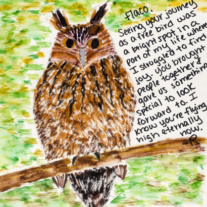 Unidentified maker, Drawing with note left at Flaco memorial, 2024. Courtesy of The New York Historical