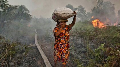 Forest Fires in Indonesia (Source httpblogs.r.ftdata)