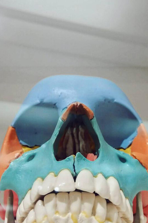 Medicine Now. Courtesy of Wellcome Collection 