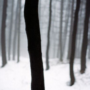 Jitka Hanzlová: Silences. Courtesy of National Gallery