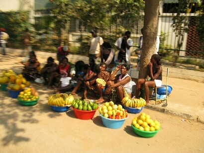Zungueiras de Angola