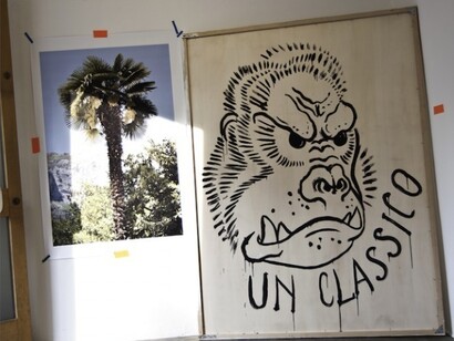 Dido Fontana, Palestra, Exhibition view, 2015, Stay Strong (Z), Boccanera Gallery