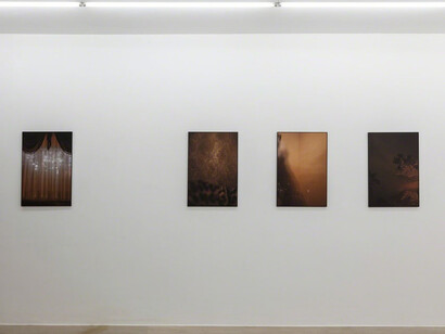 Peter Waterschoot. Courtesy of Galerie Zwart Huis