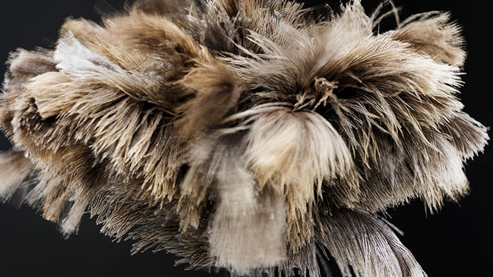 William Forsythe, Towards the Diagnostic Gaze, (Paris) (detail), 2017, Readymade feather duster, engraved stone shelf from stone locally sourced for exhibition, 2 × 31 1/2 × 17 11/16 inches (5 × 80 × 45 cm) © William Forsythe