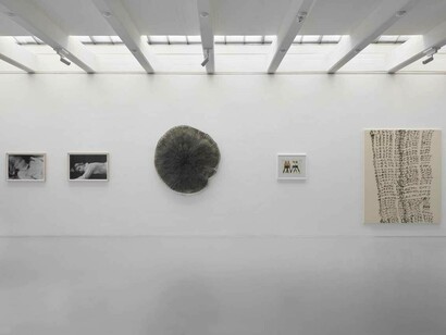 Our Duty is to Experiment - 20 years Galerie PRISKA PASQUER, Leiko Ikemura, Karen Lofgren, Ulrike Rosenbach, Fabian Herkenhoener, exhibition view, courtesy PRISKA PASQUER, Cologne