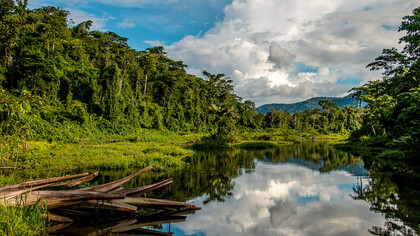 Manu National Park, Peru