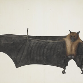 Company School Painting in India. Courtesy of The Met