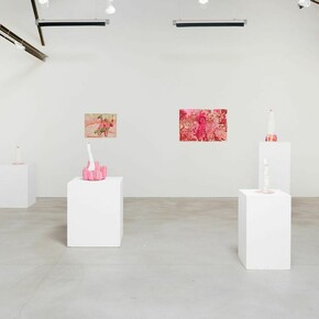 Kathleen Henderson, Bruised fruit, exhibition view. Courtesy of Anglim/Trimble Gallery