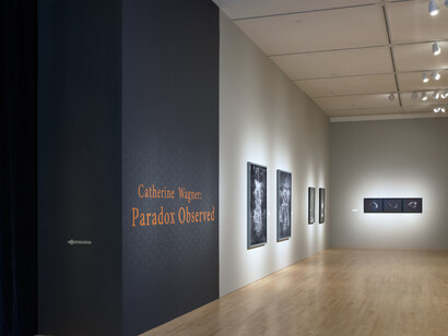 Catherine Wagner. Courtesy of San Jose Museum of Art