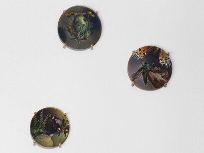 Kevin King, Installation view of "Fall of a Sparrow"