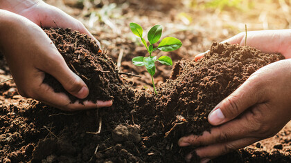 The right to development