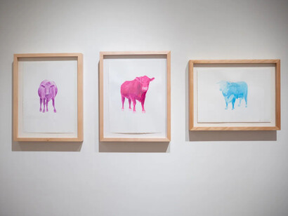 Steve Snell, exhibition view. Courtesy of Momentum Gallery