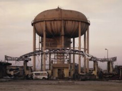 Life, Still. Courtesy of Galleria del Cembalo