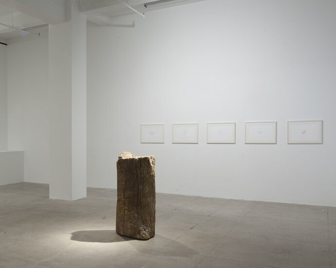 Giuseppe Penone. Courtesy of Marian Goodman Gallery