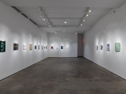 Sam Moyer. Courtesy of Sean Kelly Gallery