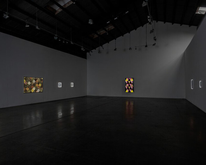 Sabrina Gschwandtner, Exhibition view. Photography © Joshua White - JWPictures.com. Courtesy of Shoshana Wayne Gallery