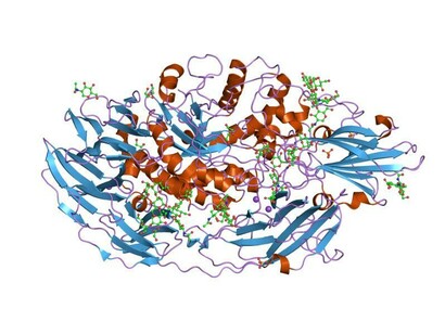 Structure moléculaire d’une protéine (1tg7), exemple des avancées en biologie moléculaire amorcées par les travaux de Jacob et Monod