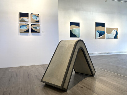 Fabio Cipolla e Sofia Fresia, Corpi in transito, veduta della mostra. Per gentile concessione della Galleria Febo e Dafne