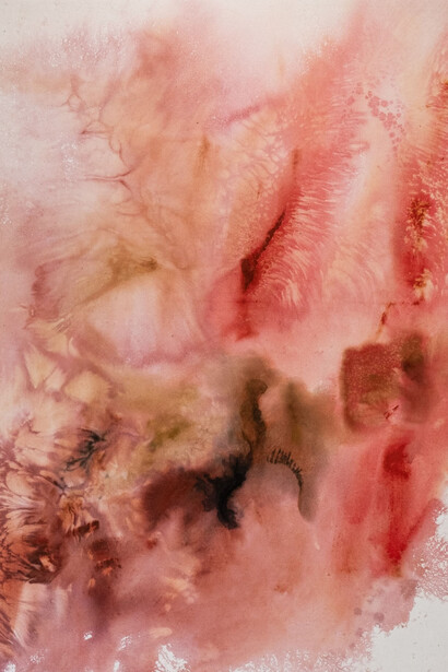Anna Blom, Fasciae. Courtesy of Liminal Gallery