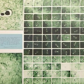 Dennis Oppenheim, Installation view at Motinternational London, Courtesy the artist and Motinternational London and Brussels