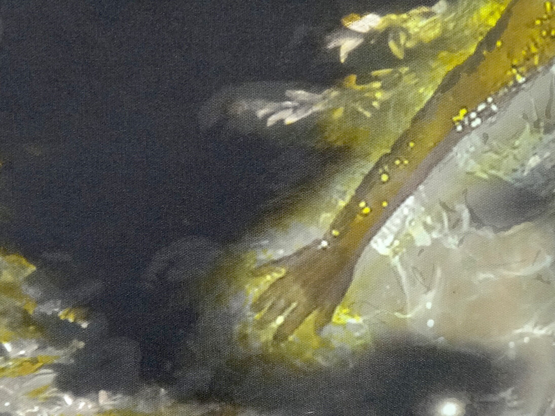 Christine Barbe, Panoramic, series, L’imaginaire des lieux (Imaginary places), 2014/2015 Paint, ink, ballpoint pen and mixed media on photograph, printed on canvas, 70 x 140 cm Courtesy Galerie Eric Mouchet