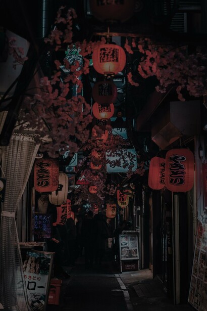 Shinjuku, Tokyio, Giappone. La pratica del Kōdōkan jūdō è un mediatore per il servizio dell’individuo al proprio paese, in cui l’enfasi è sull’interesse del gruppo, non dell’individuo. Ecco un’altra differenza stridente fra il modo occidentale