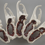 Wunderkammer: the collection of Susan Beech. Courtesy of Museum of Craft and Design 