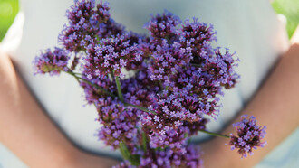 Essenze di primavera